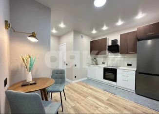 Продается однокомнатная квартира, 47 м2, село Осиновая Гора, улица Аркадия Шипунова, 12