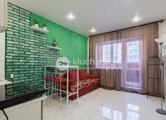 Продается квартира студия, 30 м2, деревня Куюки, Молодёжная улица, 29, ЖК Новые Куюки