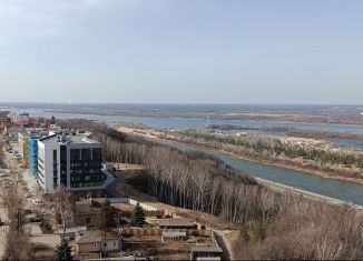 Продам однокомнатную квартиру, 37 м2, Нижний Новгород, метро Горьковская, улица Родионова, 178
