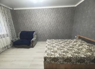 Сдача в аренду дома, 45 м2, Ессентуки, улица Луначарского, 42