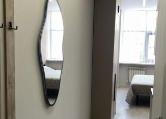 Сдается квартира студия, 25 м2, Сочи, Виноградная улица, 2/2с3, ЖК На Красноармейской