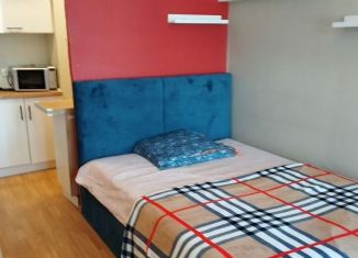 Сдача в аренду квартиры студии, 25 м2, Санкт-Петербург, улица Софьи Ковалевской, 16к5, метро Академическая