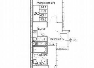 2-комнатная квартира на продажу, 45.2 м2, Владивосток, улица Расула Гамзатова, 7к2