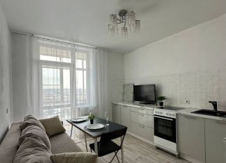 Продажа 1-ком. квартиры, 43 м2, посёлок Совхозный, Мостовая улица, 47, ЖК На Мостовой