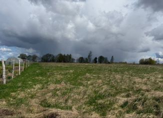 Продается земельный участок, 12 сот., деревня Борисовичи