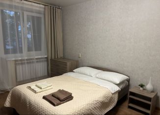Сдаю в аренду 1-ком. квартиру, 35 м2, Нижний Новгород, улица Володарского, 3
