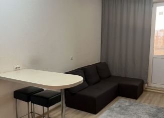 Сдаю в аренду квартиру студию, 22 м2, Мурино, бульвар Менделеева, 3, ЖК Мой Город