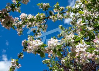 Продаю участок, 11.2 сот., Калининград, Ленинградская улица, 6А