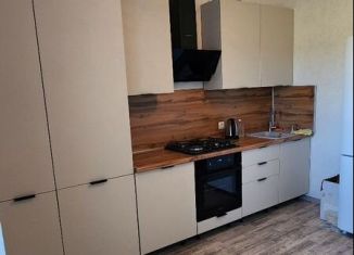 Аренда двухкомнатной квартиры, 70 м2, село Айша, жилой комплекс Зелёная Долина, 3