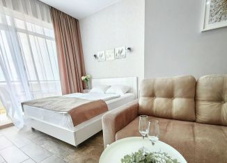 Сдается в аренду коттедж, 45 м2, Ростовская область, улица Адмирала Крюйса, 28АкД