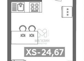 Продаю квартиру студию, 24.7 м2, Кудрово, Солнечная улица, 10к2