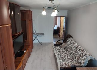 Сдается 2-ком. квартира, 45.2 м2, Павловск, микрорайон Гранитный, 14