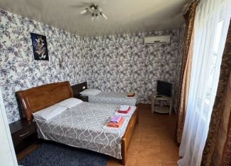 Сдается 1-комнатная квартира, 30 м2, Сочи, улица Павлика Морозова, 35А, микрорайон Центральный