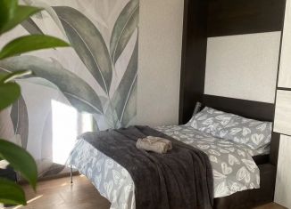 Аренда квартиры студии, 35 м2, Пермь, улица Александра Турчевича, 6, ЖК Арсенал