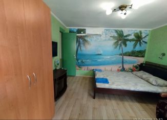 Сдача в аренду дома, 30 м2, поселок городского типа Заозерное, улица Олега Кошевого, 65