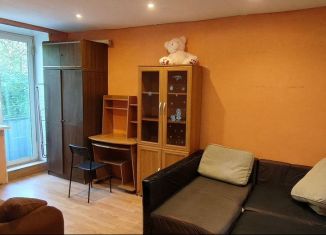 Аренда 1-ком. квартиры, 30 м2, Кириши, проспект Ленина, 4