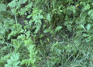 Продам земельный участок, 68 сот., село Ключи