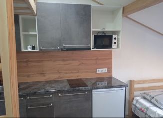 Сдам в аренду квартиру студию, 26 м2, Геленджик, Туристическая улица, 4Гк4, ЖК Горизонт