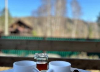 Сдам в аренду дом, 25 м2, поселок Черемшанка