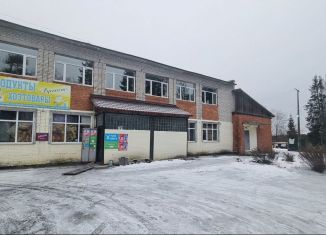 Помещение свободного назначения на продажу, 300 м2, Карелия, Школьная улица, 22