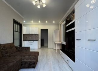 Продается однокомнатная квартира, 42.6 м2, Краснодар, проезд Репина, 3к1, проезд Репина