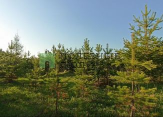 Продажа участка, 7.5 сот., деревня Сепыч, Берёзовая улица