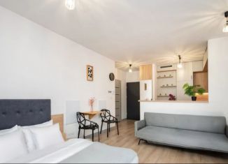 Продажа квартиры студии, 25.2 м2, Санкт-Петербург, Русановская улица, 22, метро Пролетарская