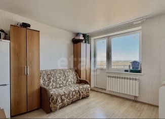 1-комнатная квартира на продажу, 30.2 м2, сельский посёлок Новинки, 2-я Дорожная улица, 31, ЖК Новинки Смарт Сити