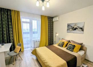 1-комнатная квартира в аренду, 43 м2, Воронеж, Донбасская улица, 25к1, Ленинский район