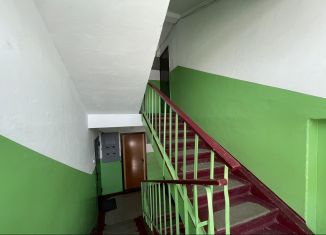 Продажа 2-ком. квартиры, 42 м2, Омская область, улица Челюскинцев, 101