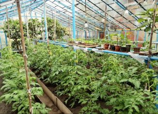 Продается дом, 45 м2, посёлок городского типа Заводской, Коллективная улица