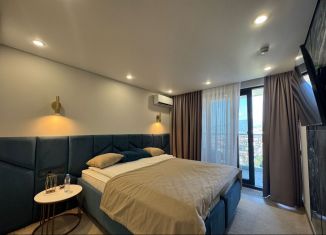 Продаю квартиру студию, 22 м2, Сочи, улица Просвещения, 118Б, микрорайон Центральный