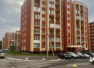 Продается квартира студия, 24.8 м2, село Михайловка, Сливовая улица, 16