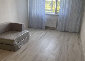 1-комнатная квартира в аренду, 35.7 м2, деревня Дерябиха, деревня Дерябиха, 76А