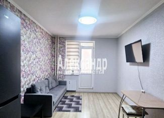 Продается однокомнатная квартира, 35.9 м2, Мурино, Воронцовский бульвар, 14к1, ЖК Краски Лета