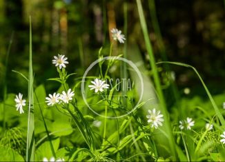 Земельный участок на продажу, 22.2 сот., деревня Малое Сареево