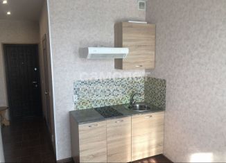 Сдам в аренду квартиру студию, 19 м2, деревня Афонино, улица Красная Поляна, 2