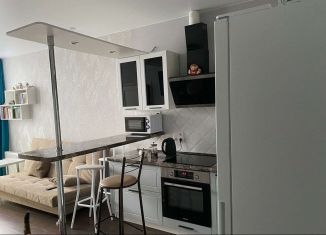 Сдача в аренду 2-комнатной квартиры, 42.5 м2, Анапа, Анапское шоссе, 24к1, ЖК Раз-Два-Три