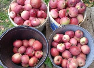 Дом на продажу, 30 м2, деревня Пуро-Можга, Трактовая улица, 18