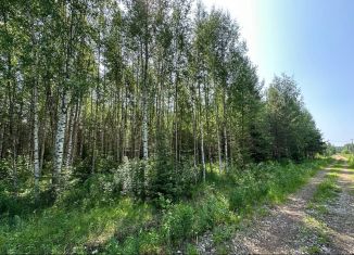 Продажа земельного участка, 10.1 сот., деревня Подберезы