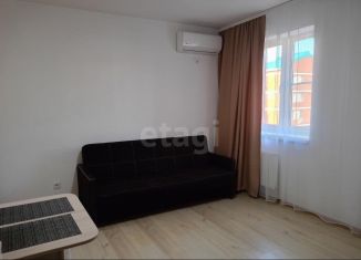 Квартира на продажу студия, 22.1 м2, посёлок Берёзовый, улица имени Туполева А.Н., 1