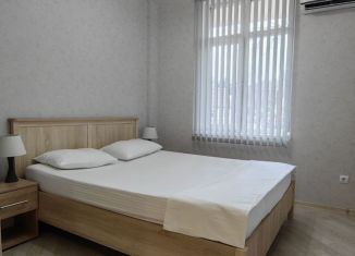 Сдается в аренду 1-ком. квартира, 46 м2, Сириус, улица Тюльпанов, 41к3