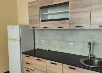 Сдача в аренду дома, 60 м2, село Чистенькое, улица Чапаева, 60