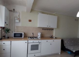 Продажа 1-ком. квартиры, 52.4 м2, деревня Куюки, 3-й квартал, 14