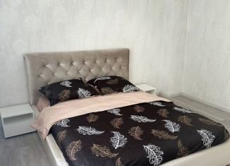 Сдается 2-комнатная квартира, 50.8 м2, Магнитогорск, улица Горького, 3