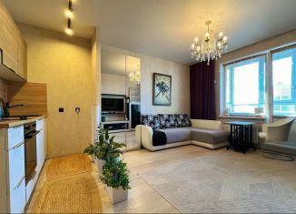 Квартира на продажу студия, 28 м2, Санкт-Петербург, Среднерогатская улица, 9, ЖК Триумф Парк