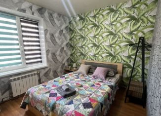 Сдается в аренду 1-комнатная квартира, 25 м2, Петрозаводск, улица Профсоюзов, 23
