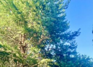 Продается участок, 23 сот., деревня Шульгино