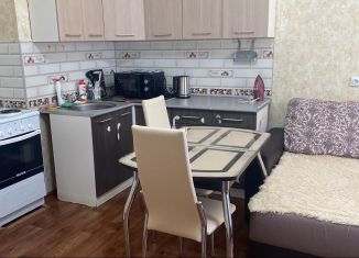 Сдам в аренду квартиру студию, 29 м2, деревня Афонино, улица Красная Поляна, 6