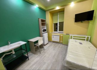 Сдаю квартиру студию, 24 м2, Санкт-Петербург, Большой Казачий переулок, 11